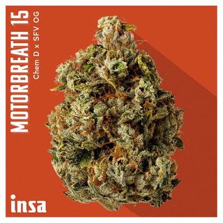 Motorbreath 15 INSA