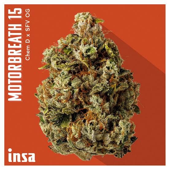 Motorbreath 15 INSA