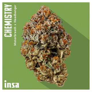 Chemistry INSA