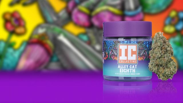 Premium Alley Cat I.C. Collective