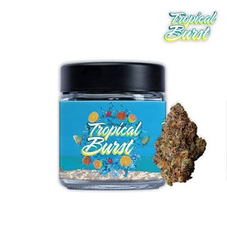 Tropical Burst Seed Junky Tropical Burst Seed Junky