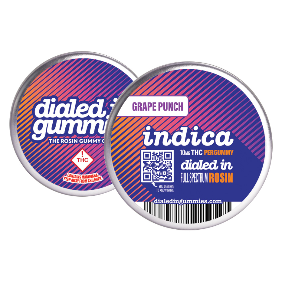 Dialed In Classic Rosin Gummies | Grape Punch 100mg Rec