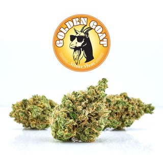 Silver Stem Fine Cannabis Rockrimmon at Garden of the Gods Recreational Dispensary