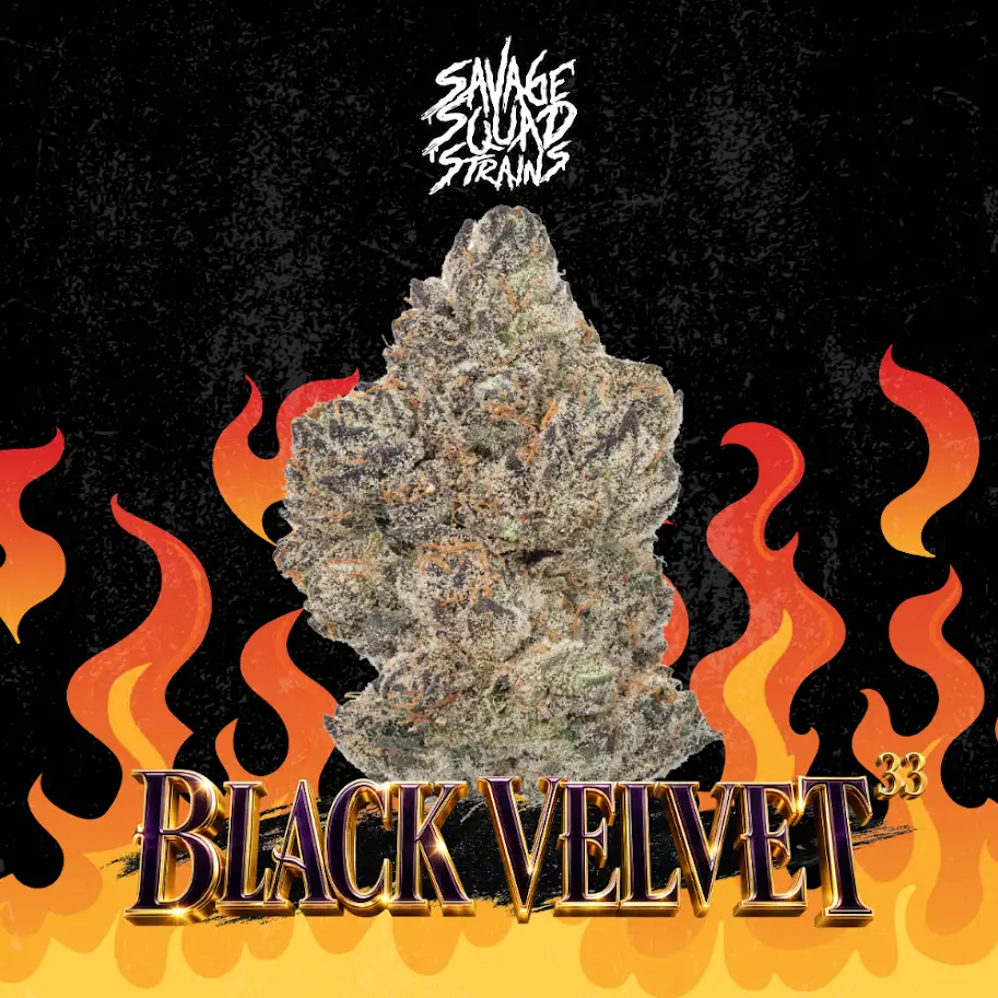 Black Velvet #33 Savage Squad Strains