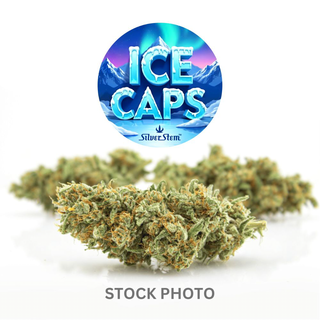 Silver Stem Fine Cannabis Rockrimmon at Garden of the Gods Recreational Dispensary