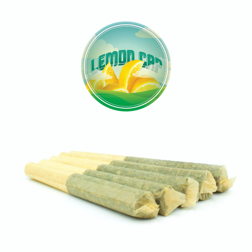 Lemon Cap Preroll | Sativa