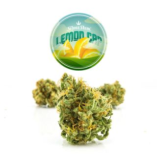 Silver Stem Fine Cannabis Rockrimmon at Garden of the Gods Recreational Dispensary