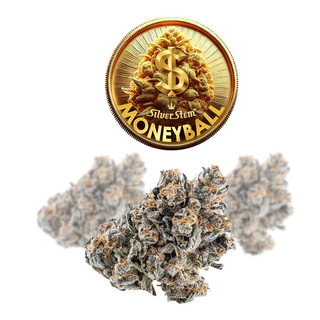 Silver Stem Fine Cannabis Rockrimmon at Garden of the Gods Recreational Dispensary