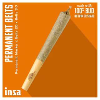 Permanent Mintz I.N.S.A.