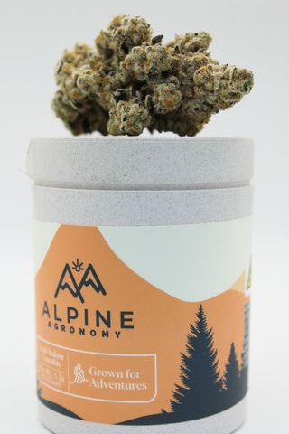 Lituya Bay Alpine Agronomy