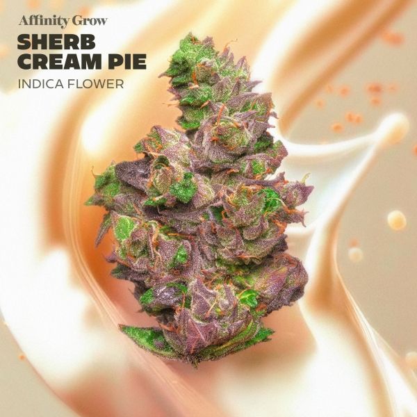 Sherb Cream Pie Affinity Grow