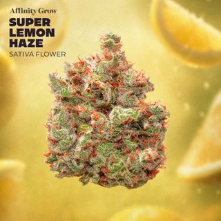 Super Lemon Haze Affinity Grow