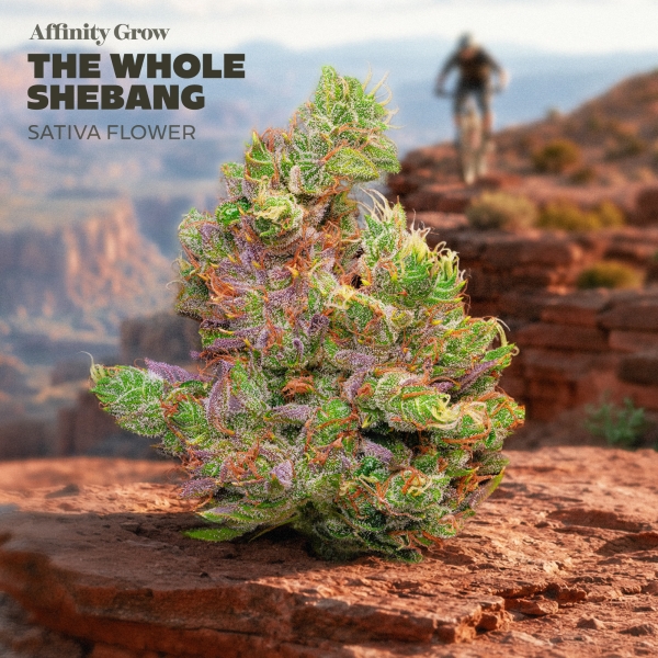 The Whole Shebang