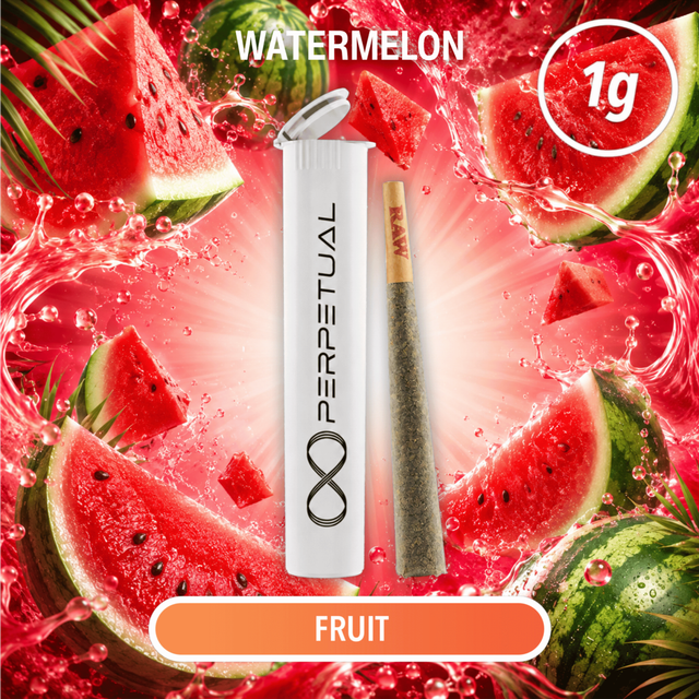 Watermelon Infused Perpetual