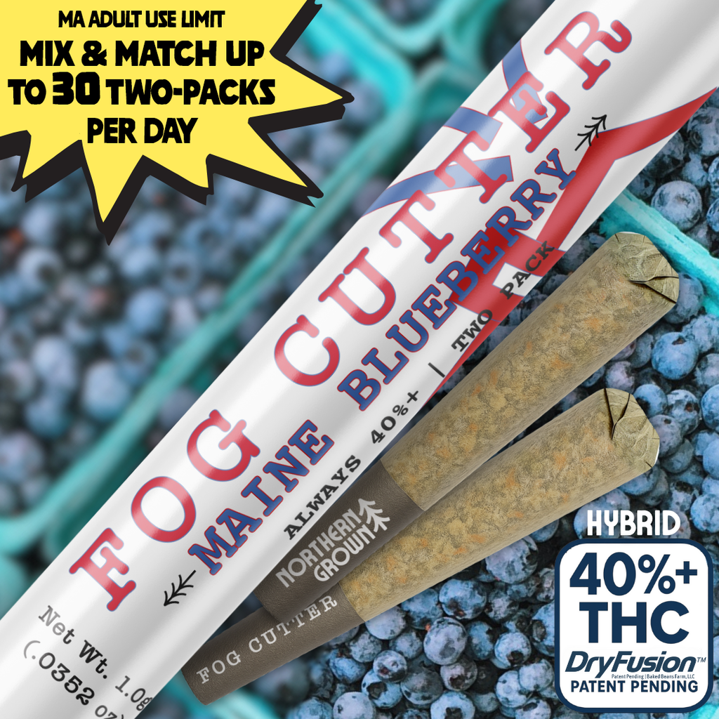 Maine Blueberry 2 x 0.5g