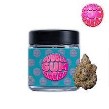 Bubblegum Sherb Seed Junky