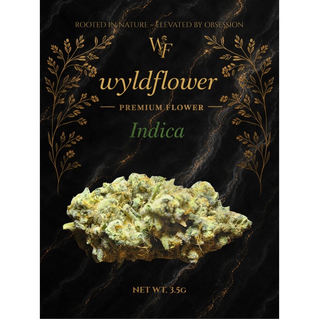 Dosi White Wyldflower