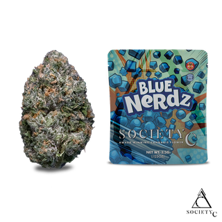 Blue Nerdz Society C