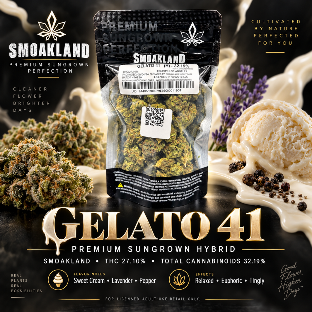 Gelato 41