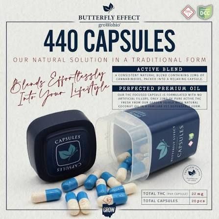 22mg Capsules Butterfly Effect