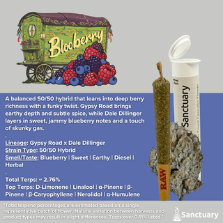 Blooberry Sanctuary