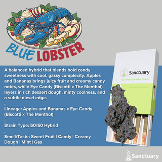 Blue Lobster Sanctuary