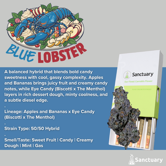Blue Lobster Sanctuary