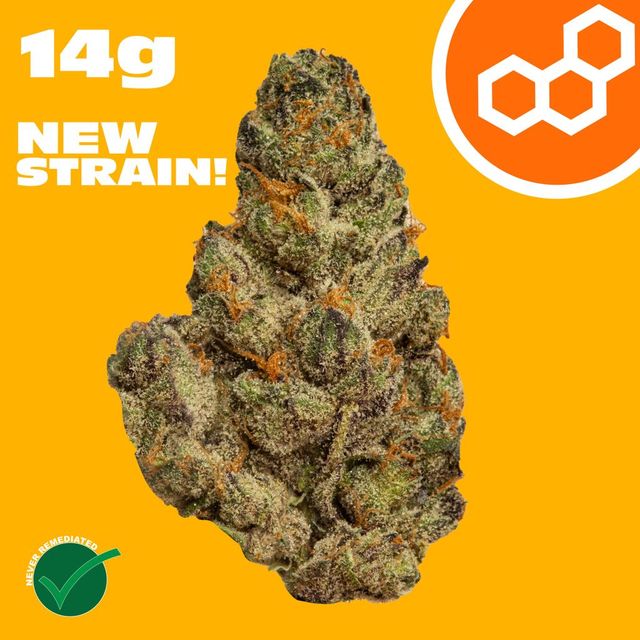 Super Charger Theraplant