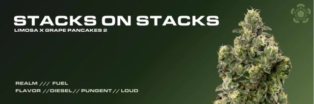  Pre roll Stacks on Stacks  Realm