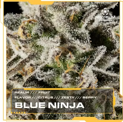 Blue Ninja Realm Blue Ninja Realm