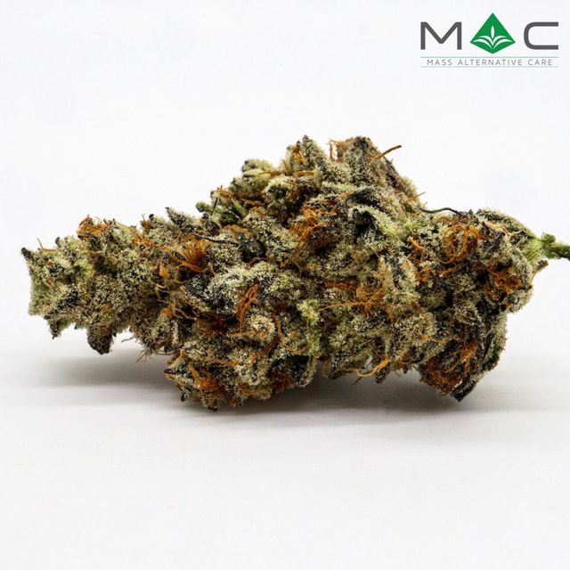 Golden Sands Mass Alternative Care (MAC)