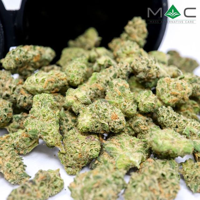 Fluffhead Mass Alternative Care (MAC)