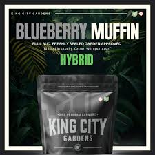 Blueberry Muffin