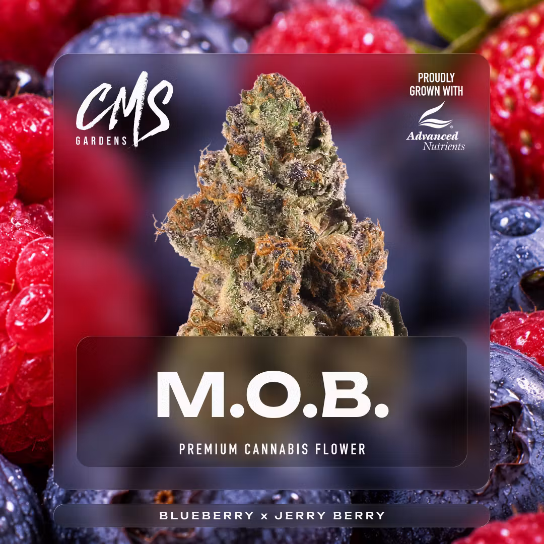 M.O.B. CMS Gardens