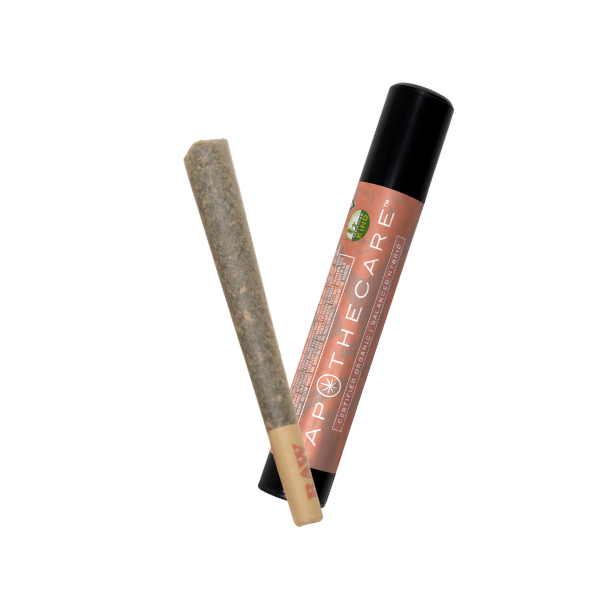 Mighty Fine Mint Chocolate Chip 1g PR Apothecare
