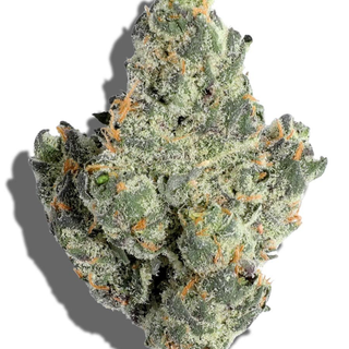Cotton Candy Dolla Trees