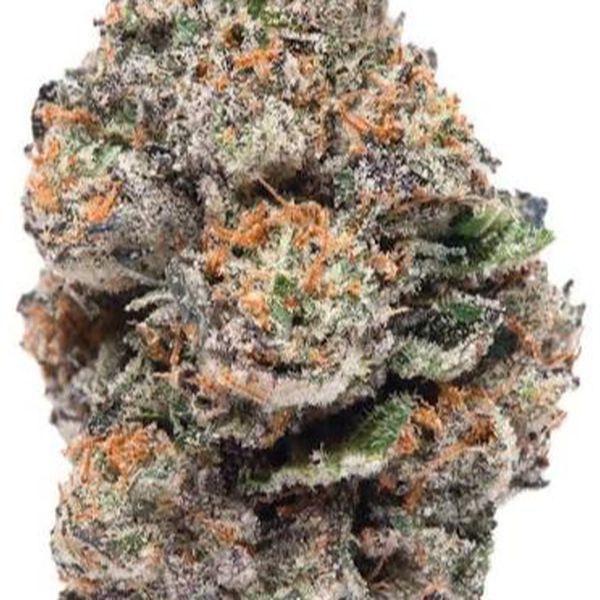 Gusherz Dolla Trees