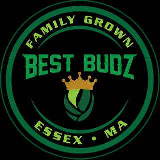 Stealth Bomber Best Budz
