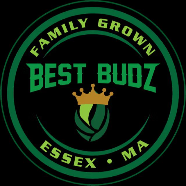 Stealth Bomber Best Budz