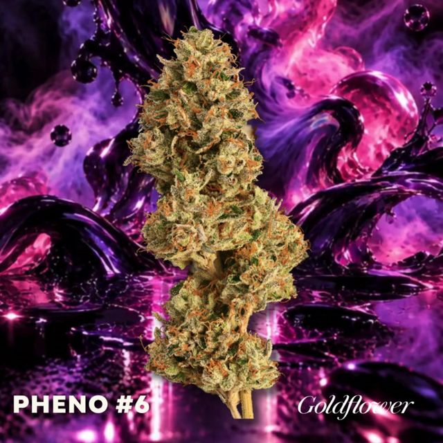 Forever FumeZ (19.7% THC)