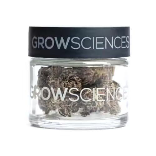 Kush Mints Grow Sciences Kush Mints Grow Sciences