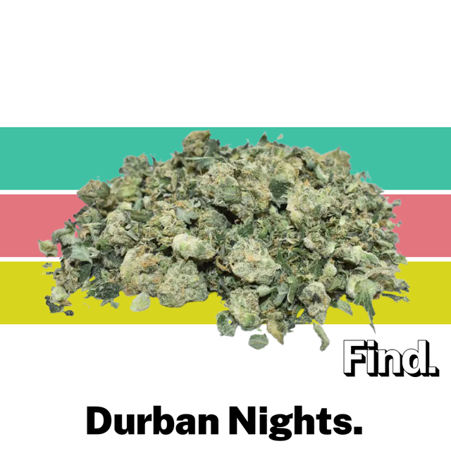 Durban Nights Find. Flower