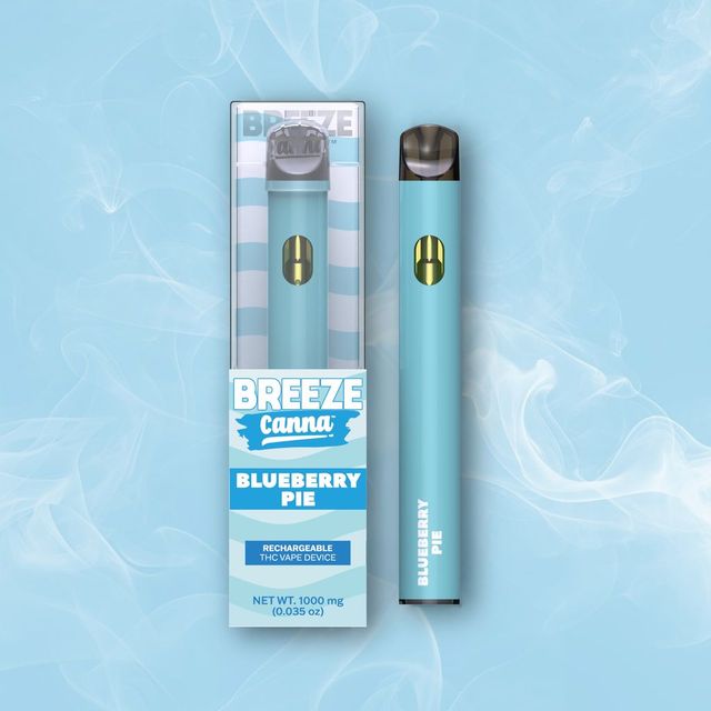 Blueberry Pie Breeze Canna