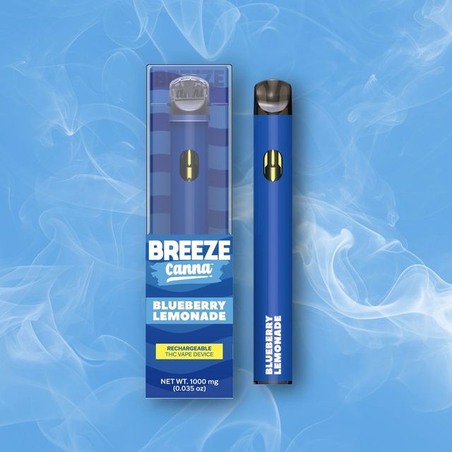 Blueberry Lemonade Breeze Canna
