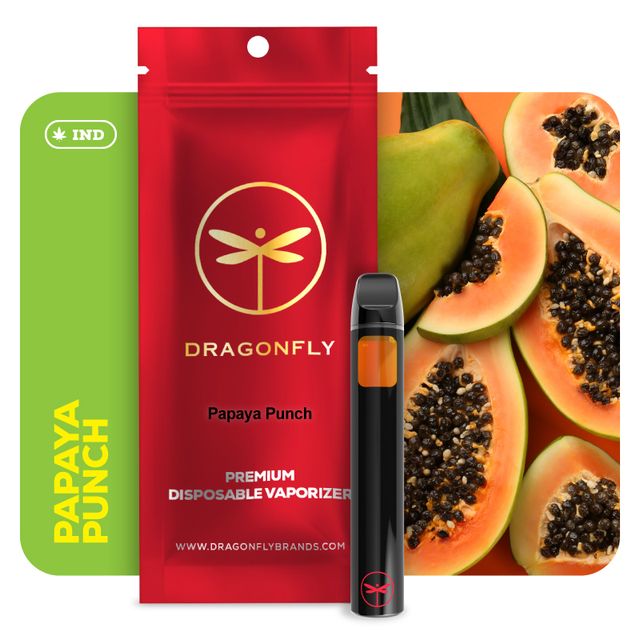 Papaya Punch Dragonfly