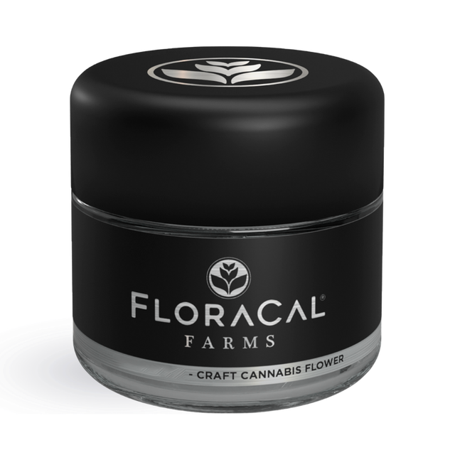 Morning Dew Floracal Morning Dew Floracal