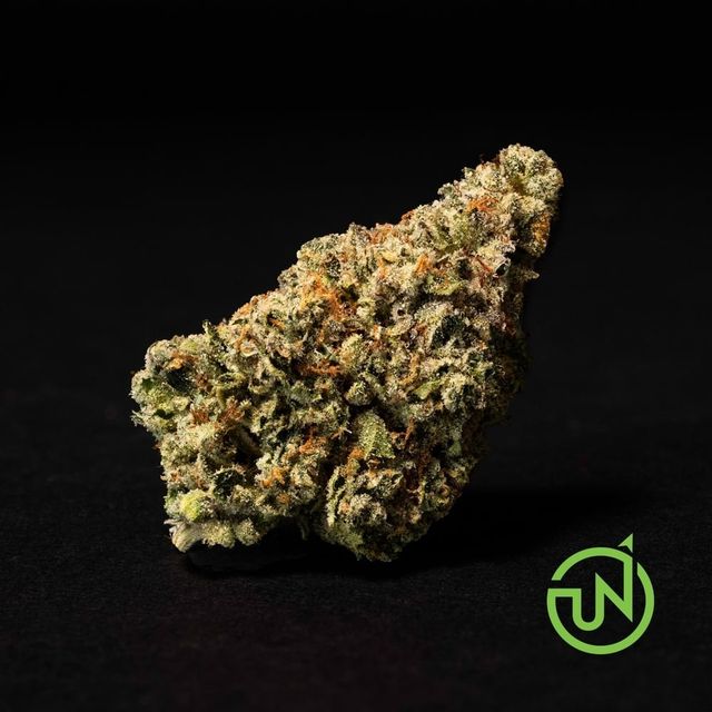 Blue Dream Upnorth