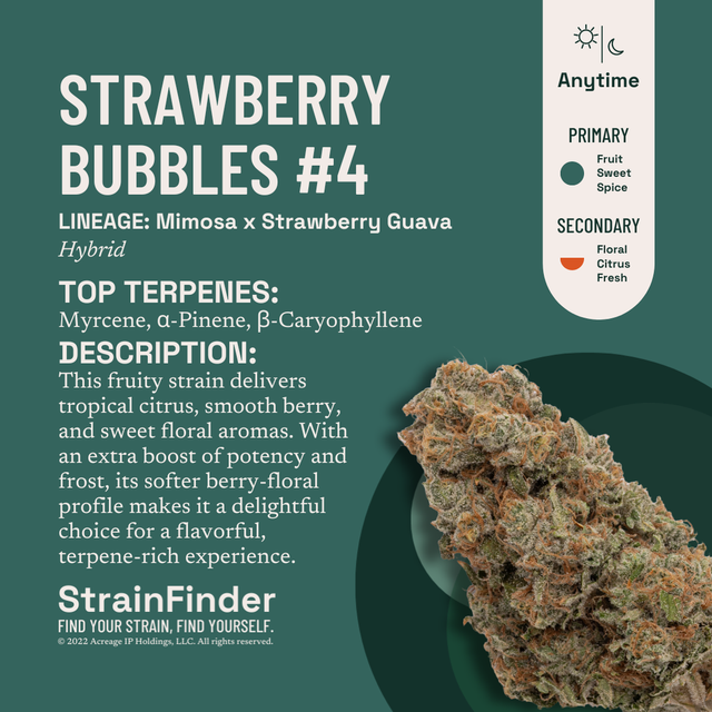 Strawberry Bubbles #4 The Botanist