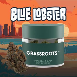 Blue Lobster Grassroots Blue Lobster Grassroots