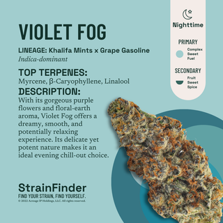 Cannabis Promo, Cannabis Sales, Cannabis Discounts, Cannabis on Sale, 40% off the Botanist flower 2